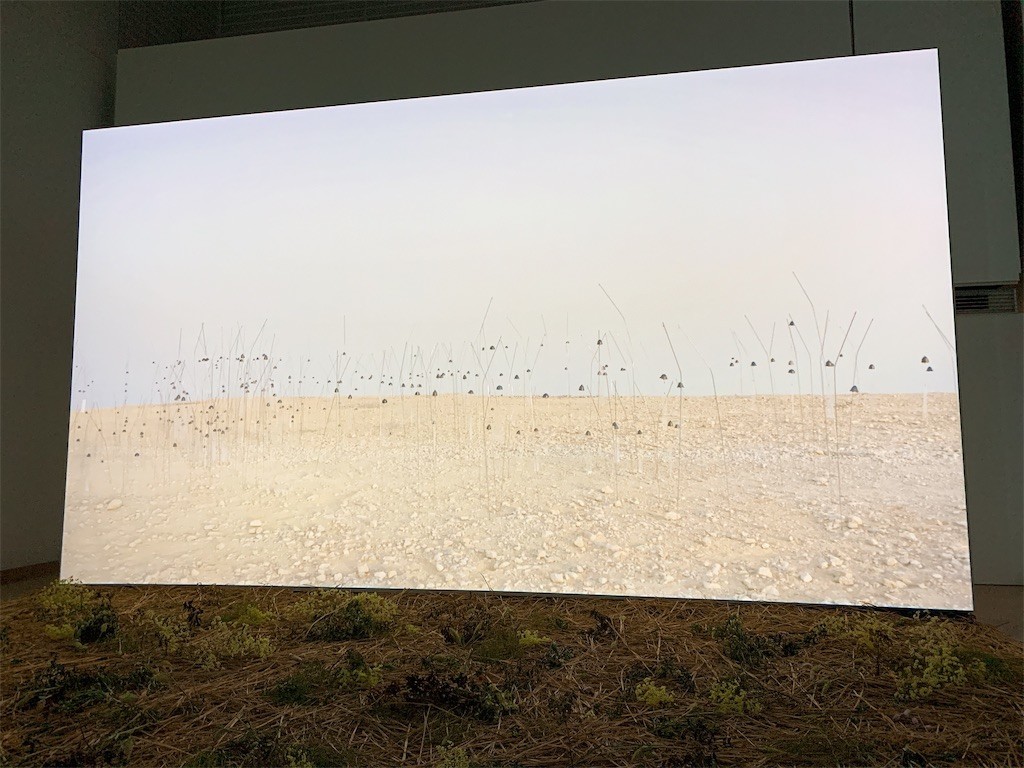 f:id:tomosaku:20190811112033j:image f:id:tomosaku:20190811112033j:image