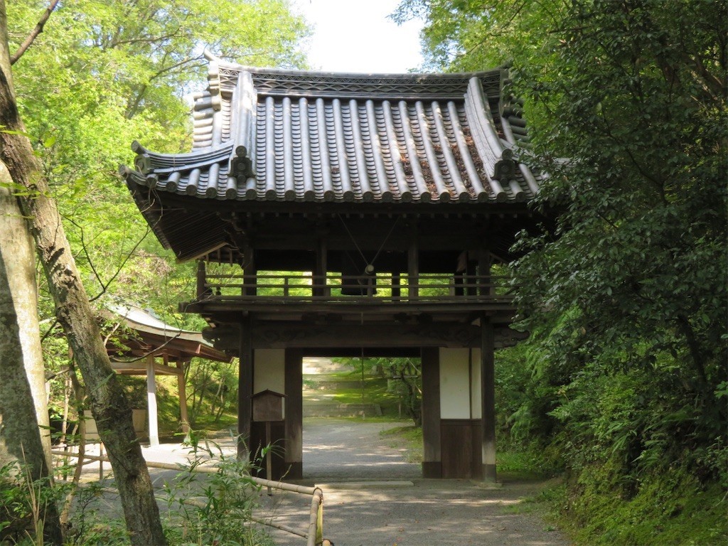 f:id:tomosaku:20191231034300j:image f:id:tomosaku:20191231034300j:image
