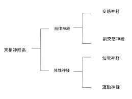 f:id:tomoshb1:20210508202332p:plain