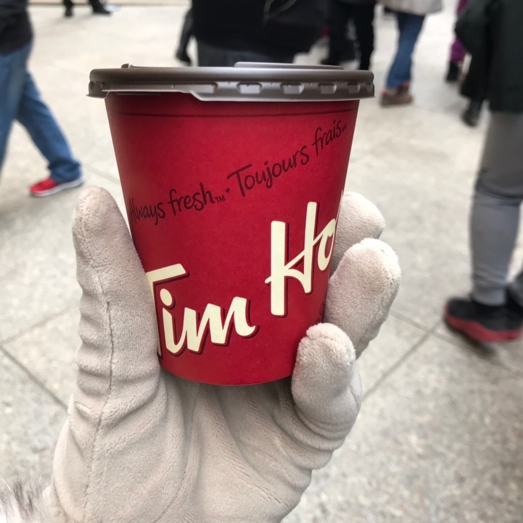 コーヒーの写真