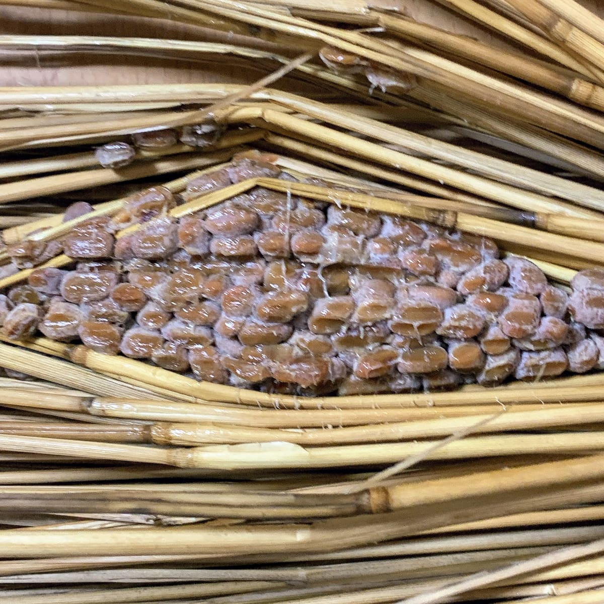 だるま食品「わら納豆」の、藁の中の納豆の画像