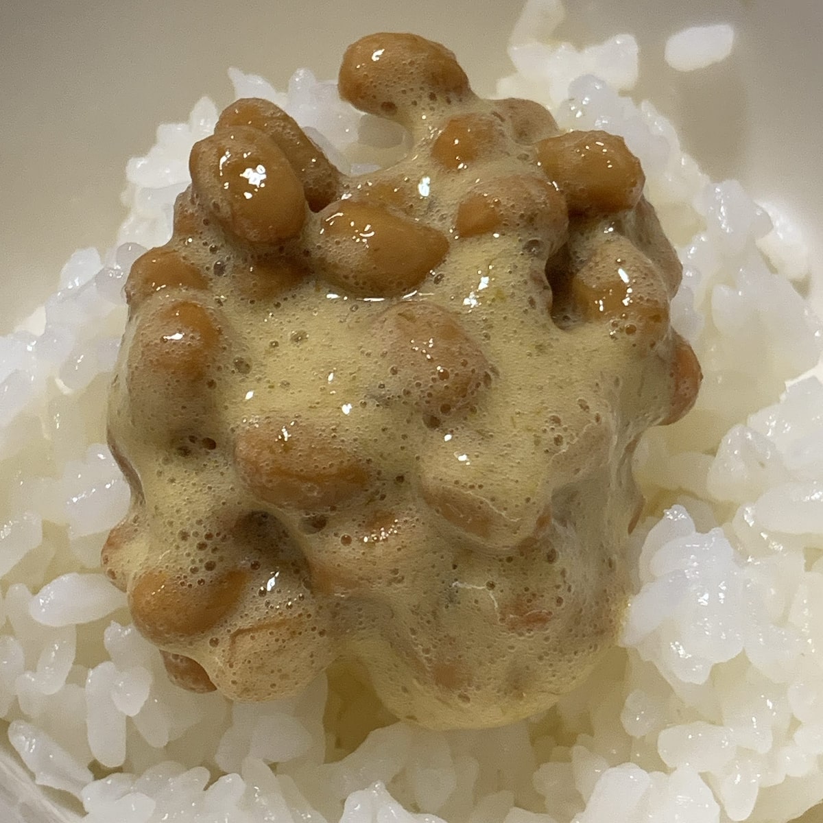 「極光納豆」の納豆ごはんの画像