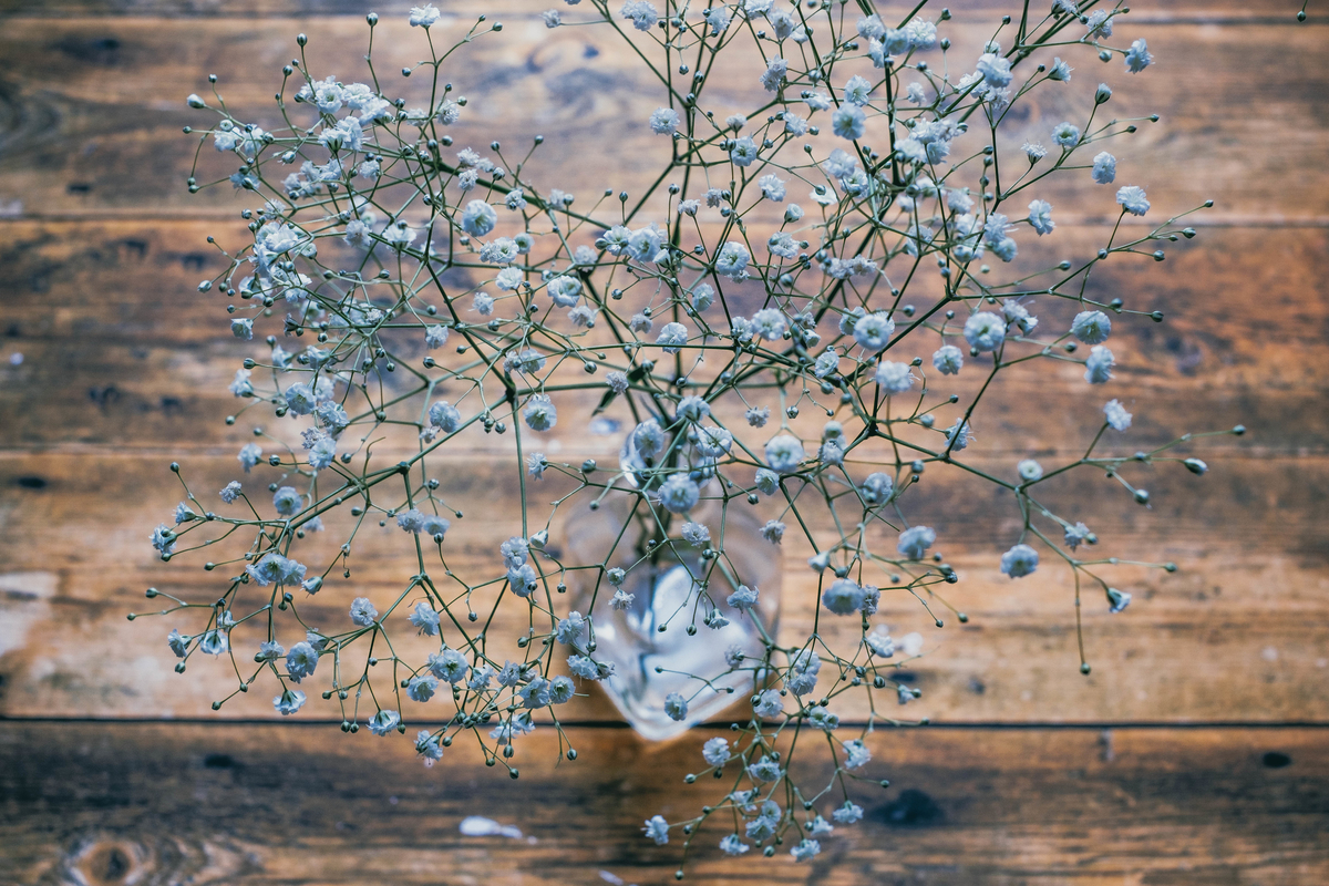 f:id:tomotaphoto-1124:20200216144901j:plain f:id:tomotaphoto-1124:20200216144901j:plain