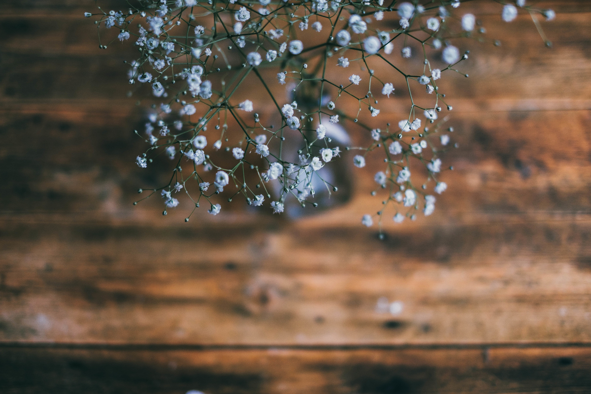 f:id:tomotaphoto-1124:20200216144911j:plain f:id:tomotaphoto-1124:20200216144911j:plain