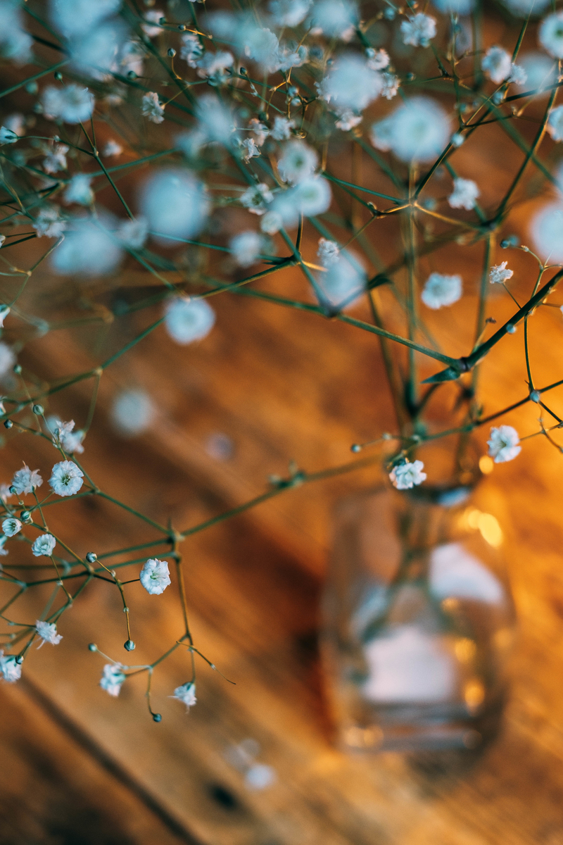 f:id:tomotaphoto-1124:20200216144943j:plain f:id:tomotaphoto-1124:20200216144943j:plain