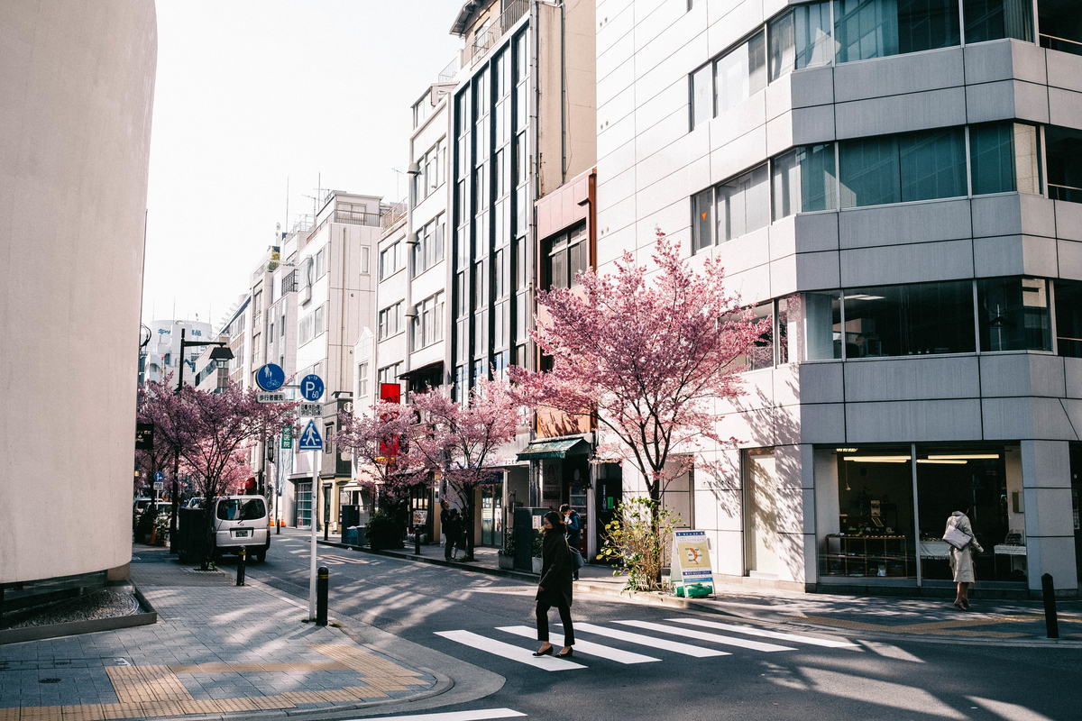 f:id:tomotaphoto-1124:20200229091945j:plain f:id:tomotaphoto-1124:20200229091945j:plain