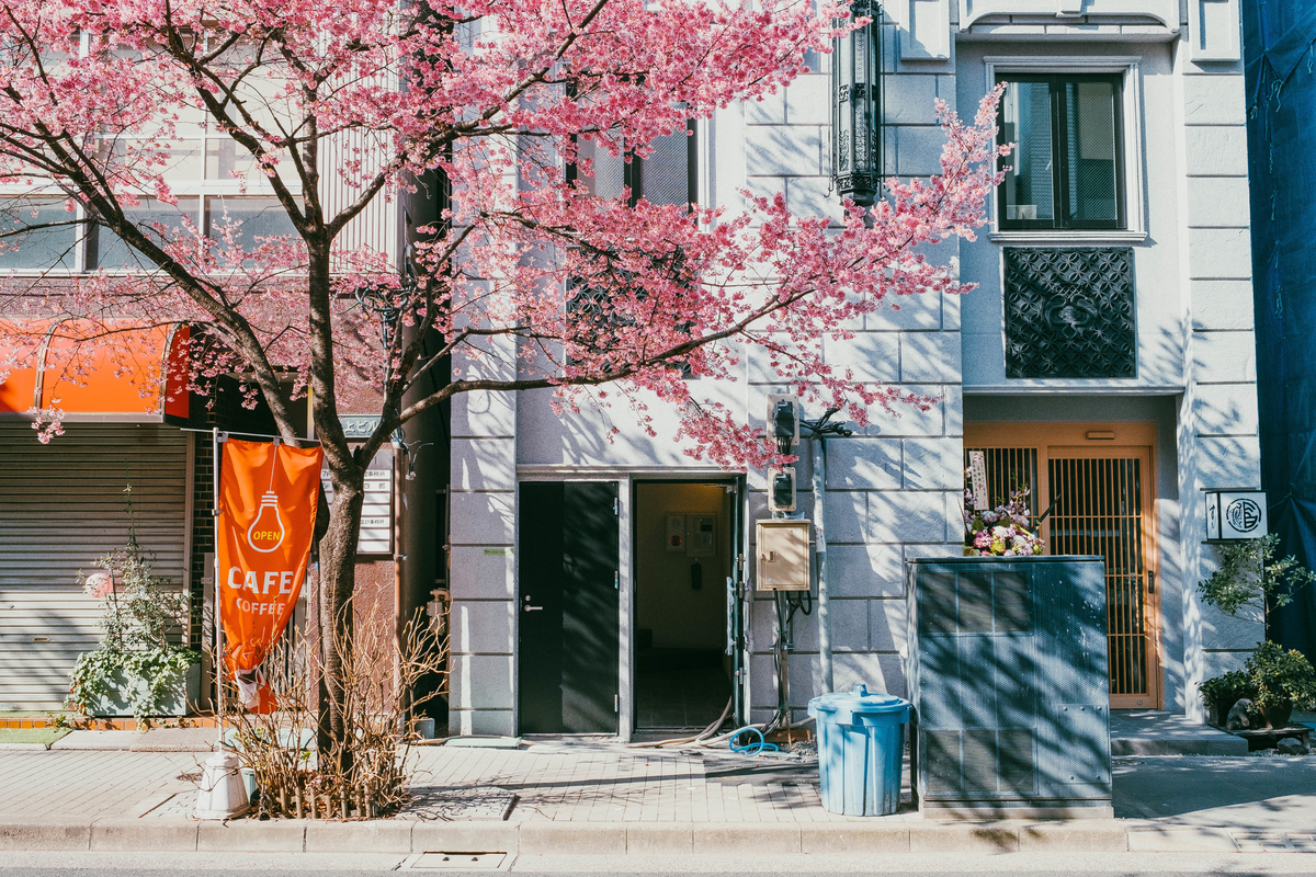 f:id:tomotaphoto-1124:20200229092248j:plain f:id:tomotaphoto-1124:20200229092248j:plain