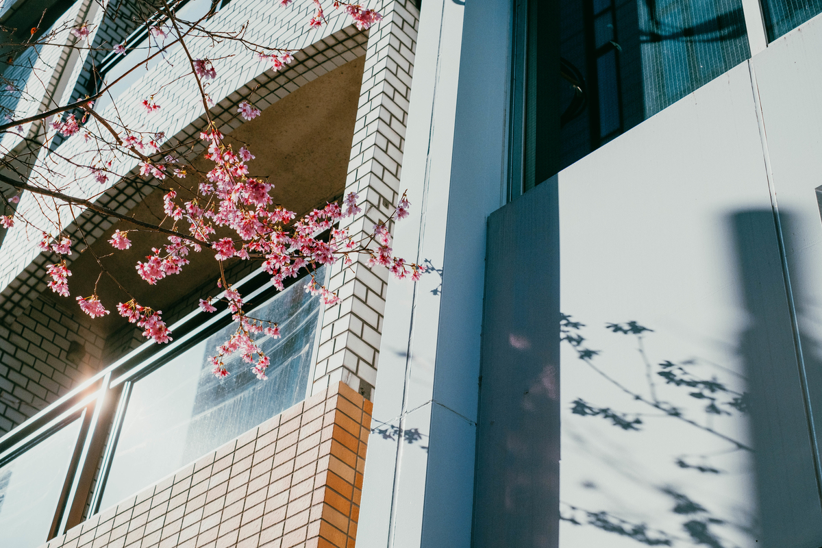 f:id:tomotaphoto-1124:20200229092957j:plain f:id:tomotaphoto-1124:20200229092957j:plain