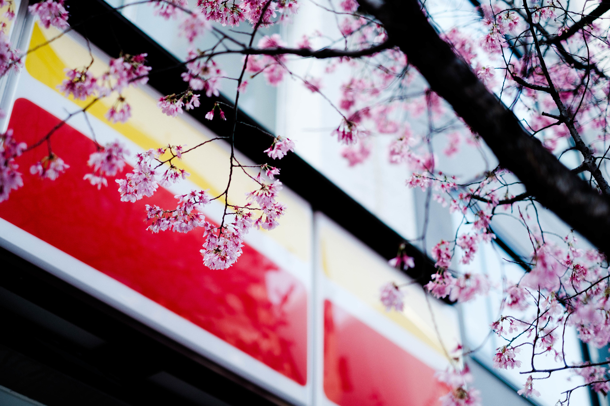 f:id:tomotaphoto-1124:20200229093153j:plain f:id:tomotaphoto-1124:20200229093153j:plain