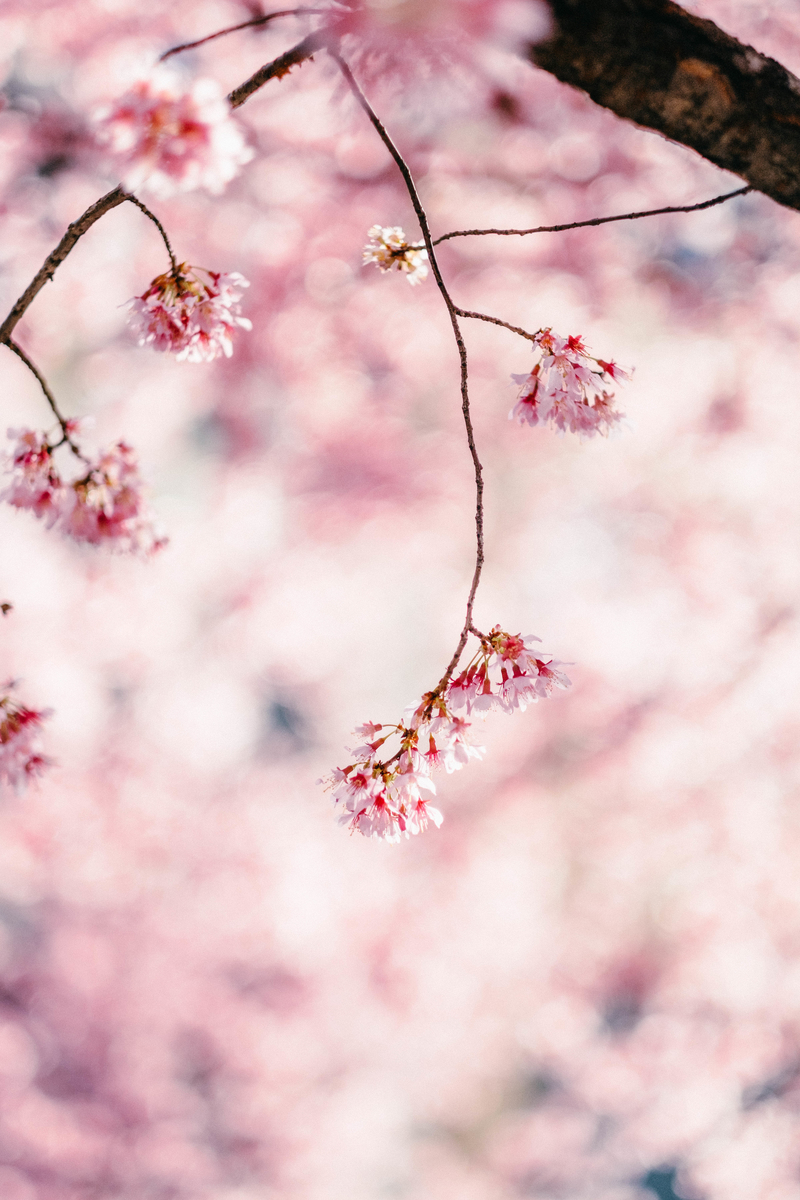 f:id:tomotaphoto-1124:20200229094248j:plain f:id:tomotaphoto-1124:20200229094248j:plain