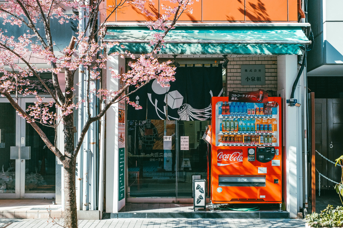 f:id:tomotaphoto-1124:20200229094909j:plain f:id:tomotaphoto-1124:20200229094909j:plain