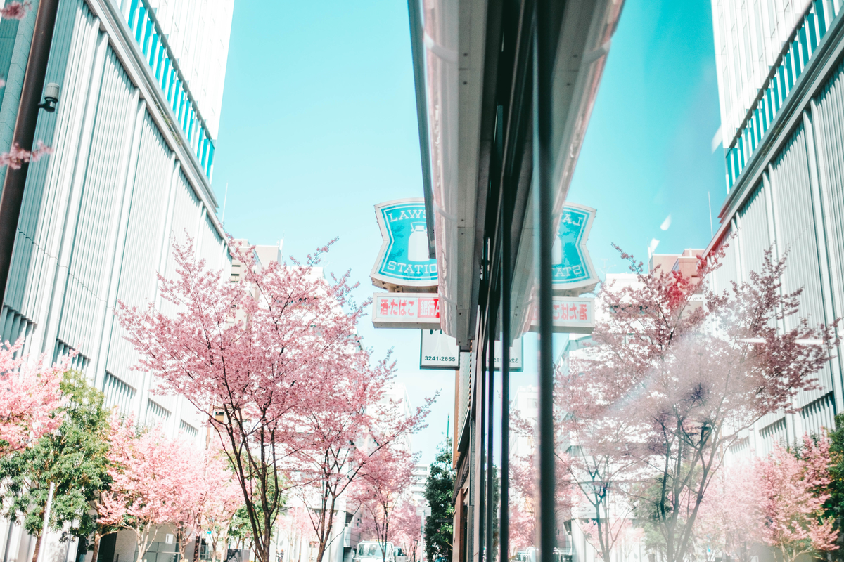 f:id:tomotaphoto-1124:20200229100302j:plain f:id:tomotaphoto-1124:20200229100302j:plain