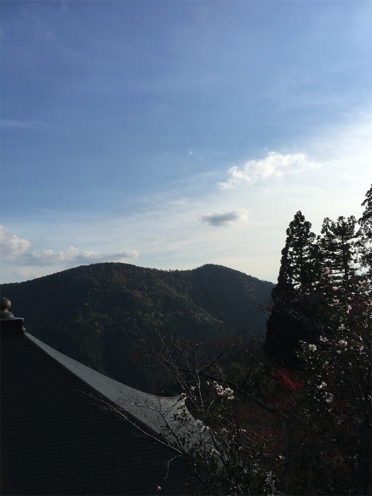 f:id:tomoten15:20181111080642j:image