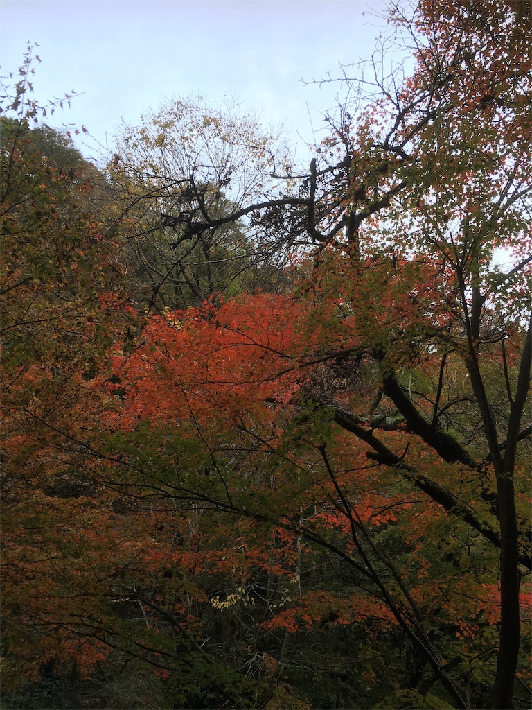 f:id:tomoten15:20181113083458j:image