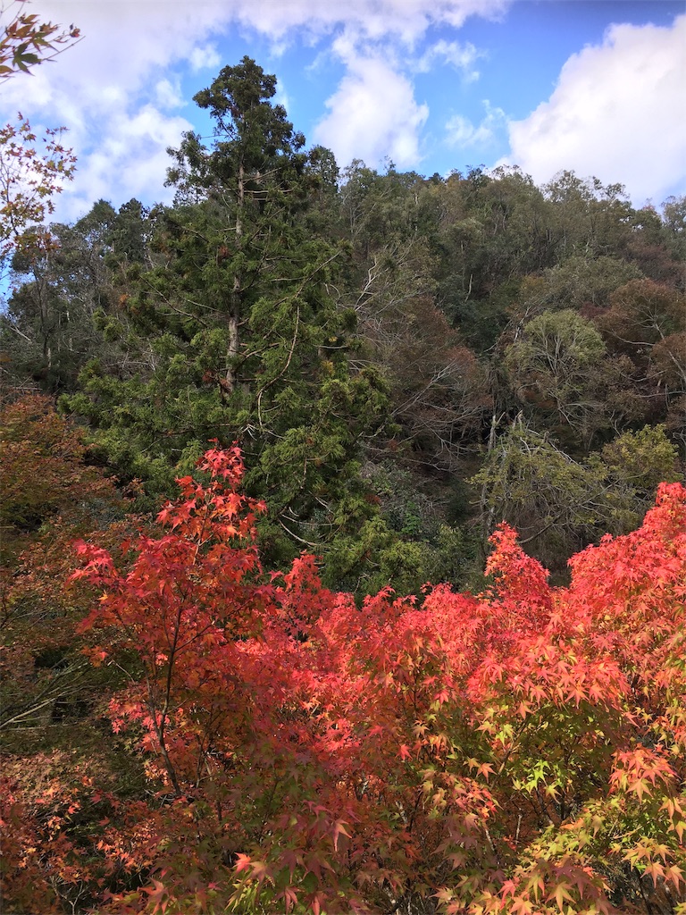 f:id:tomoten15:20181120084242j:image