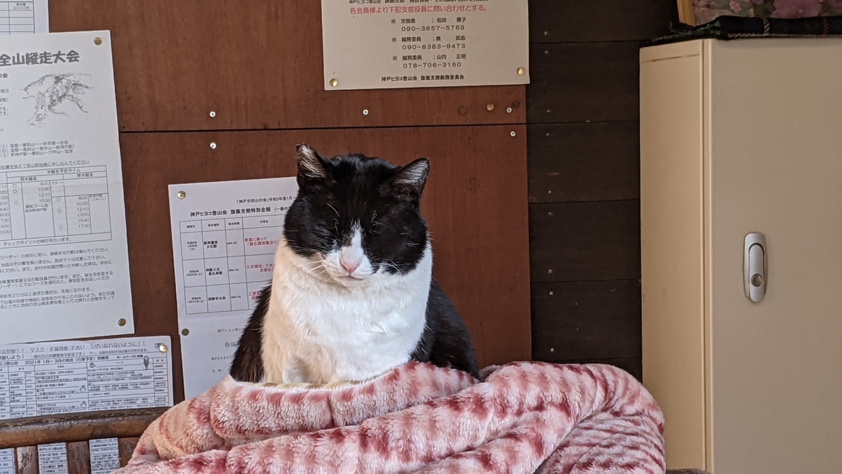 f:id:tomotomo6130:20210103103739j:plain