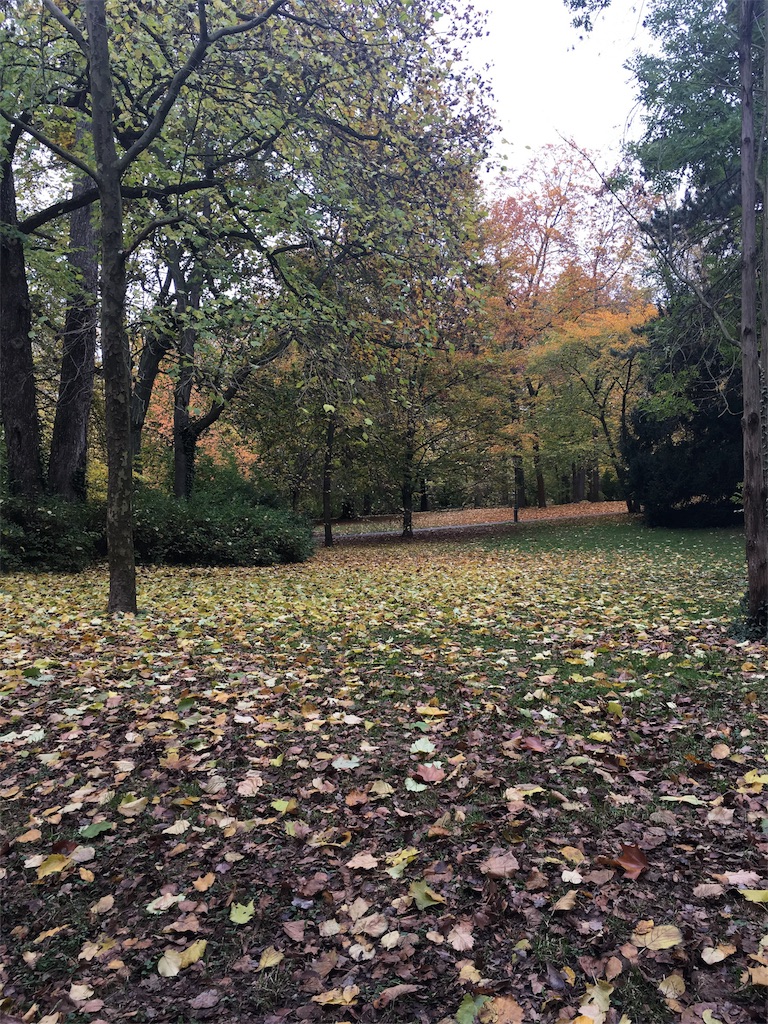 f:id:tomotomotrp:20161026183255j:image