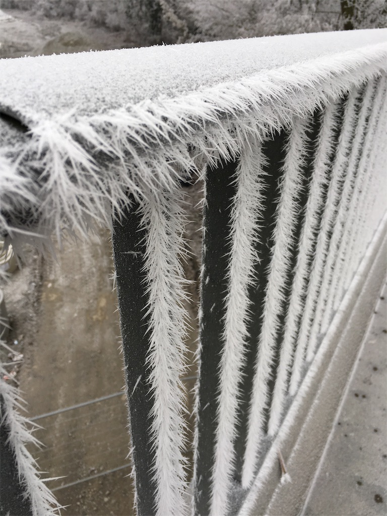 f:id:tomotomotrp:20170102010824j:image f:id:tomotomotrp:20170102010824j:image