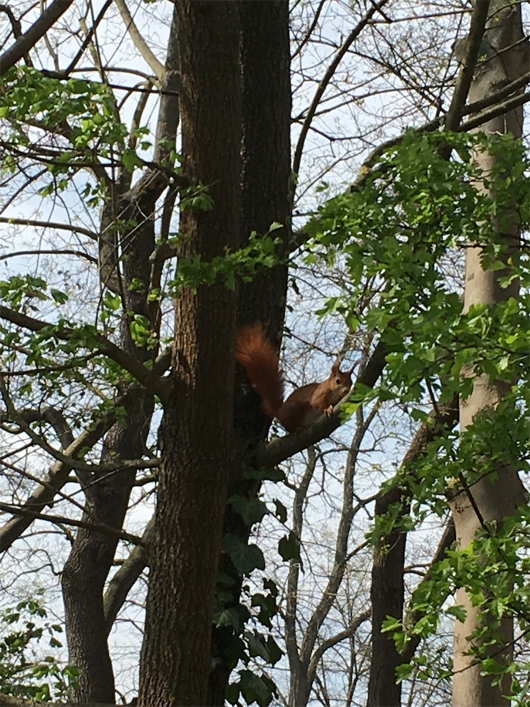 f:id:tomotomotrp:20170411235755j:plain f:id:tomotomotrp:20170411235755j:plain