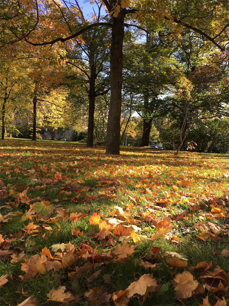 f:id:tomotomotrp:20171023035148j:image