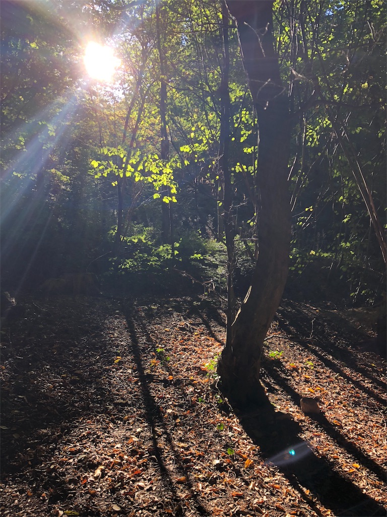 f:id:tomotomotrp:20181016013929j:plain f:id:tomotomotrp:20181016013929j:plain