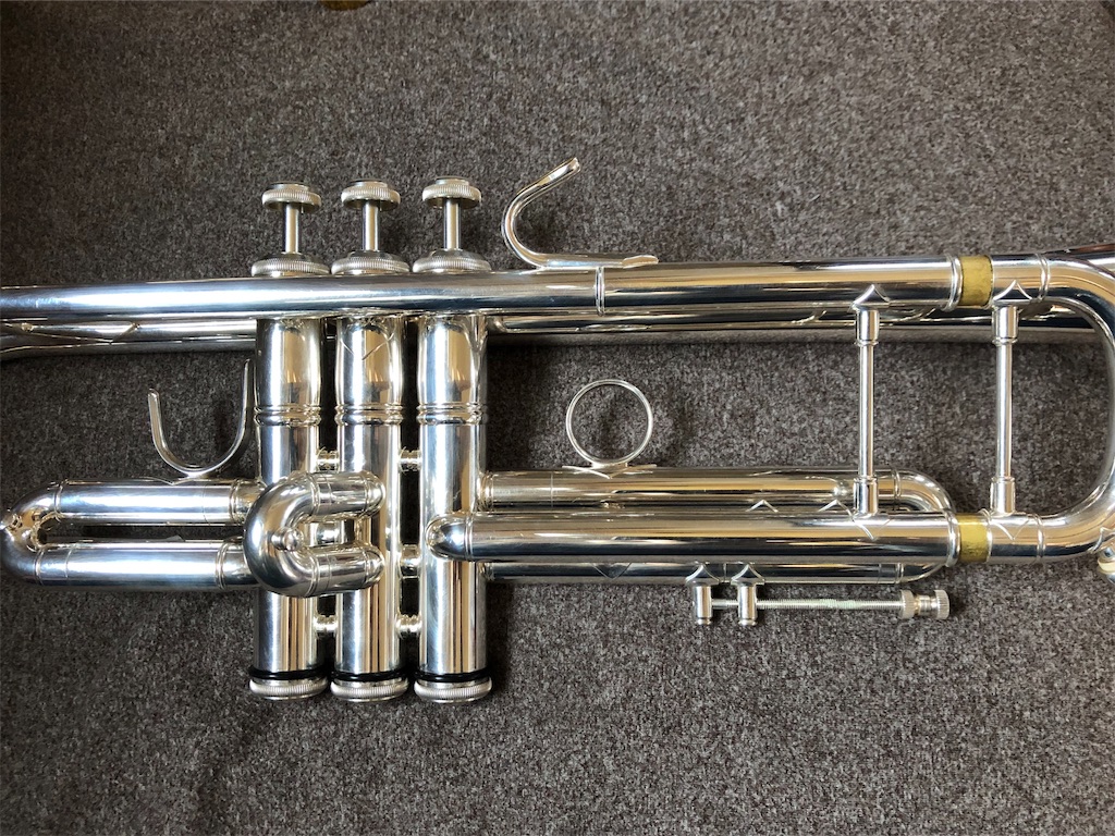 f:id:tomotomotrp:20190129201751j:plain