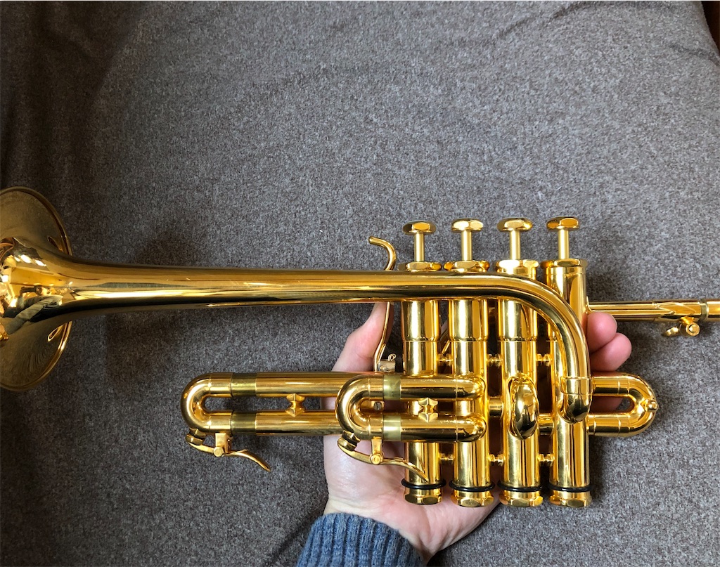 f:id:tomotomotrp:20190129201755j:image