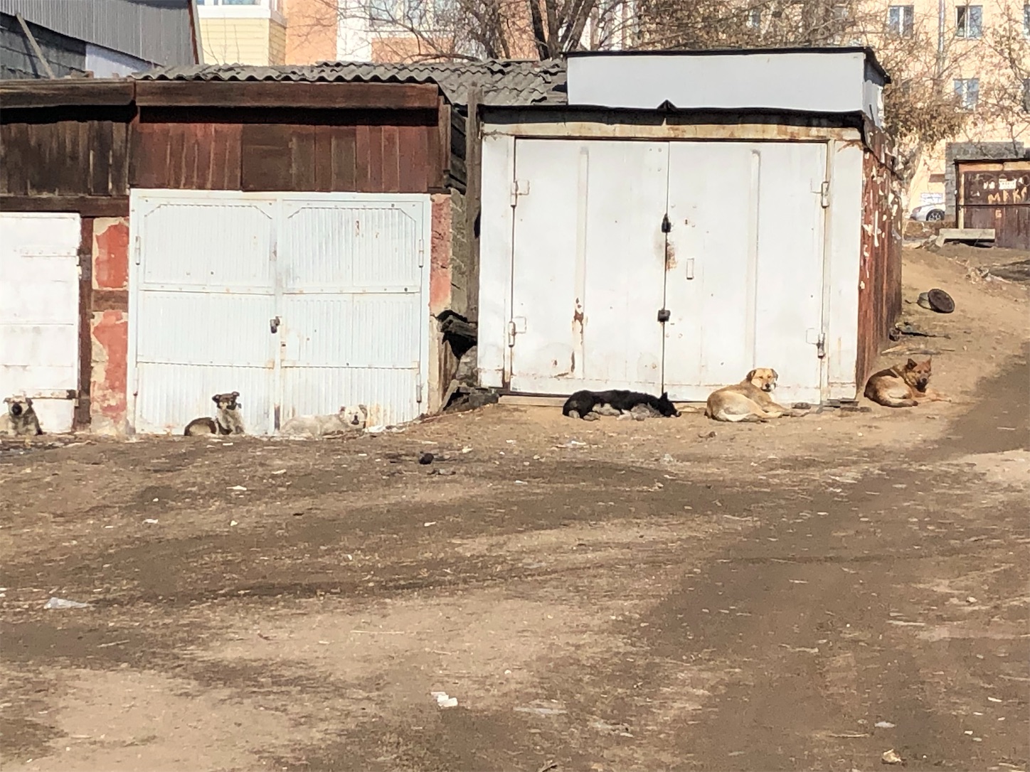 f:id:tomotomotrp:20190303150029j:plain