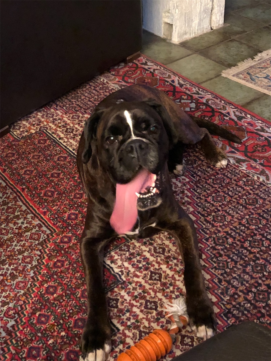 f:id:tomotomotrp:20190620195550j:image