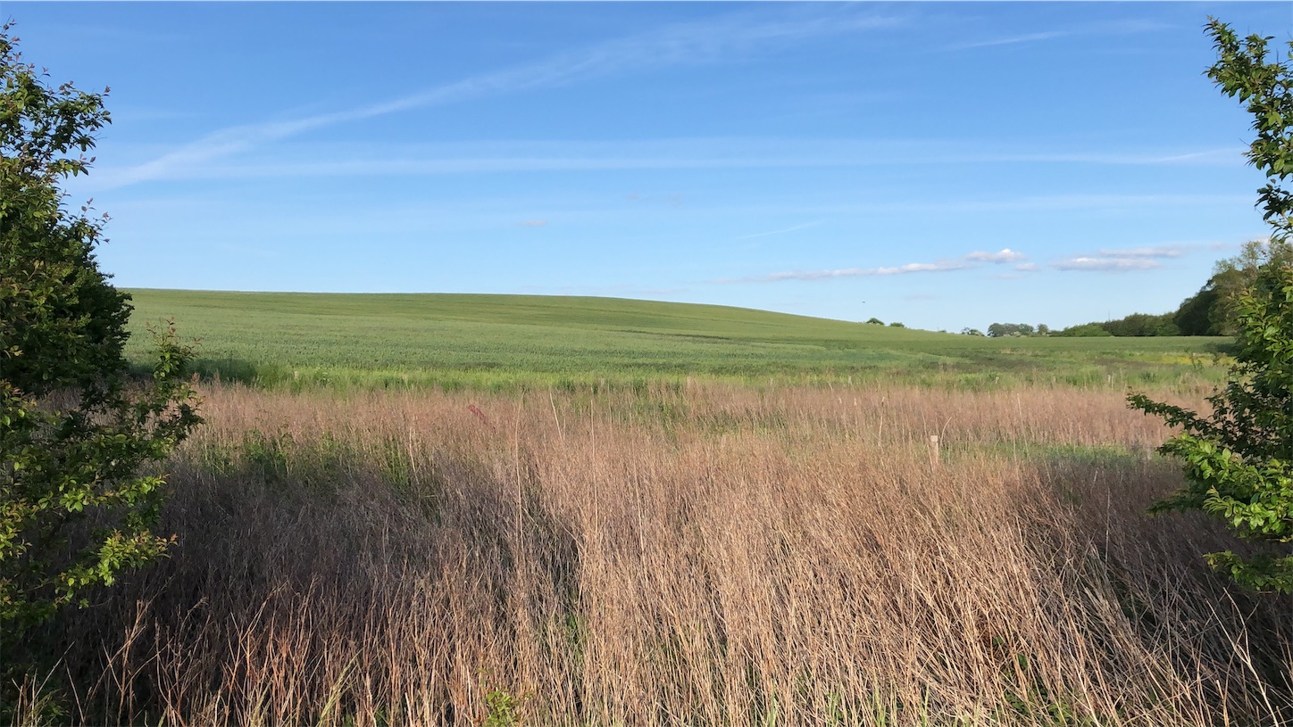 f:id:tomotomotrp:20190620195559j:image