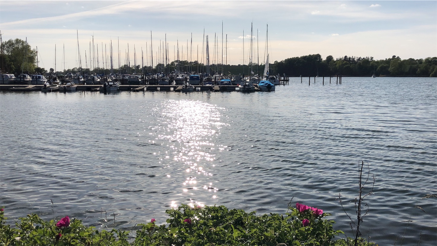 f:id:tomotomotrp:20190620195741j:image