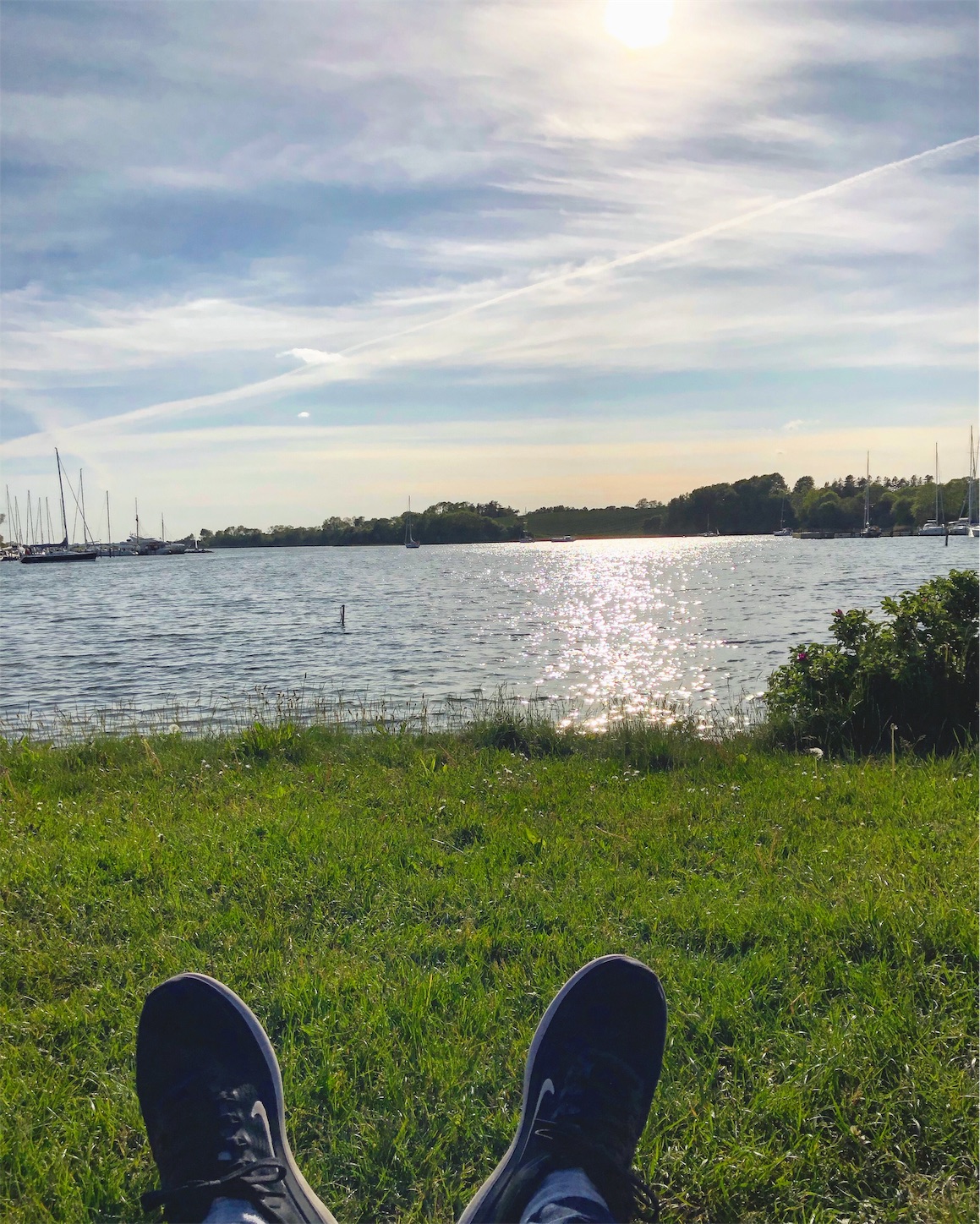 f:id:tomotomotrp:20190620195803j:image