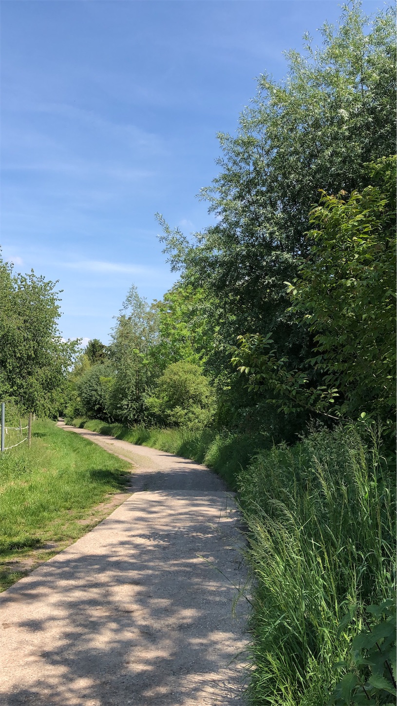 f:id:tomotomotrp:20190620195819j:image