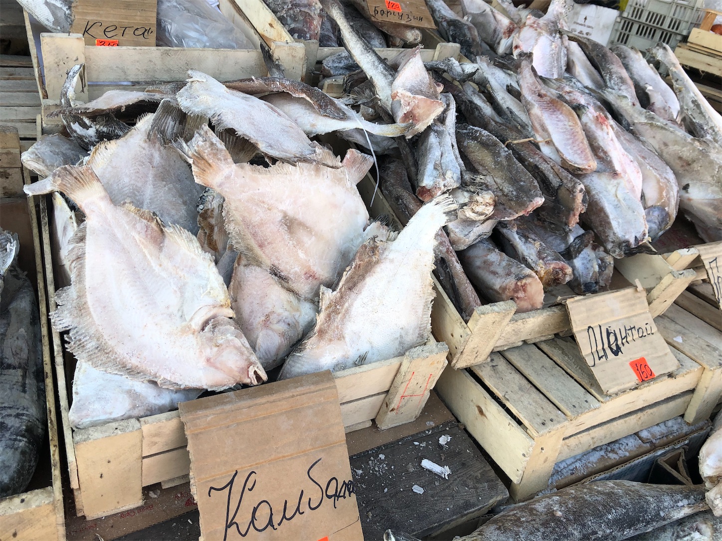 f:id:tomotomotrp:20200218150824j:image