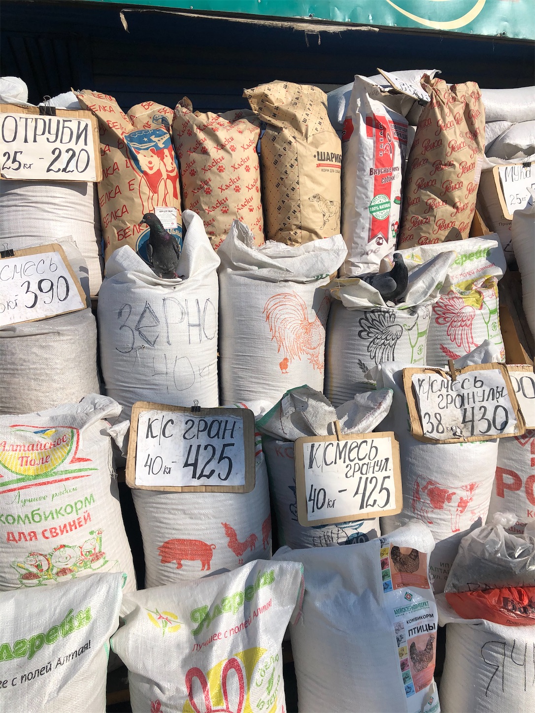 f:id:tomotomotrp:20200218150833j:image