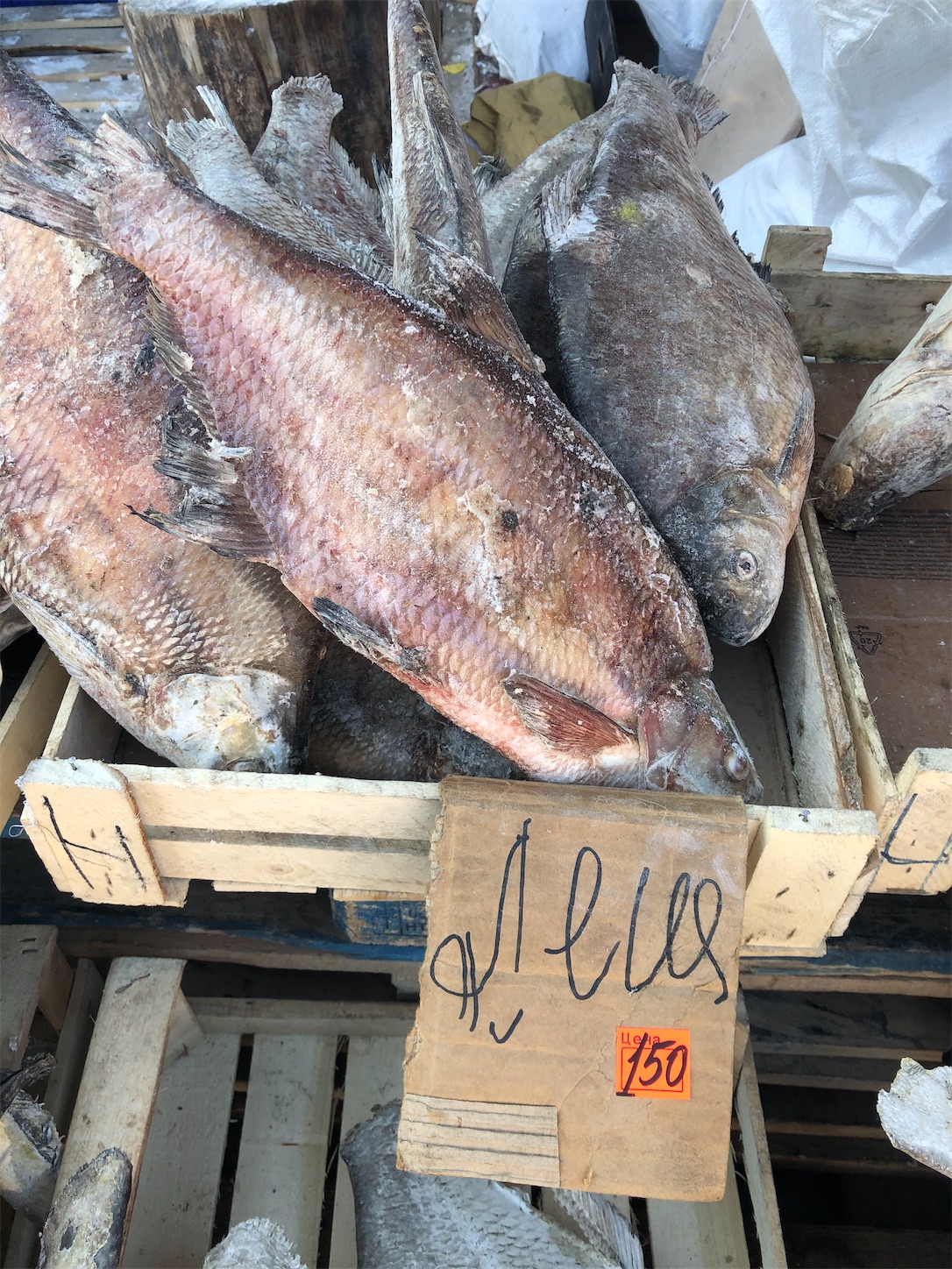 f:id:tomotomotrp:20200218150840j:image