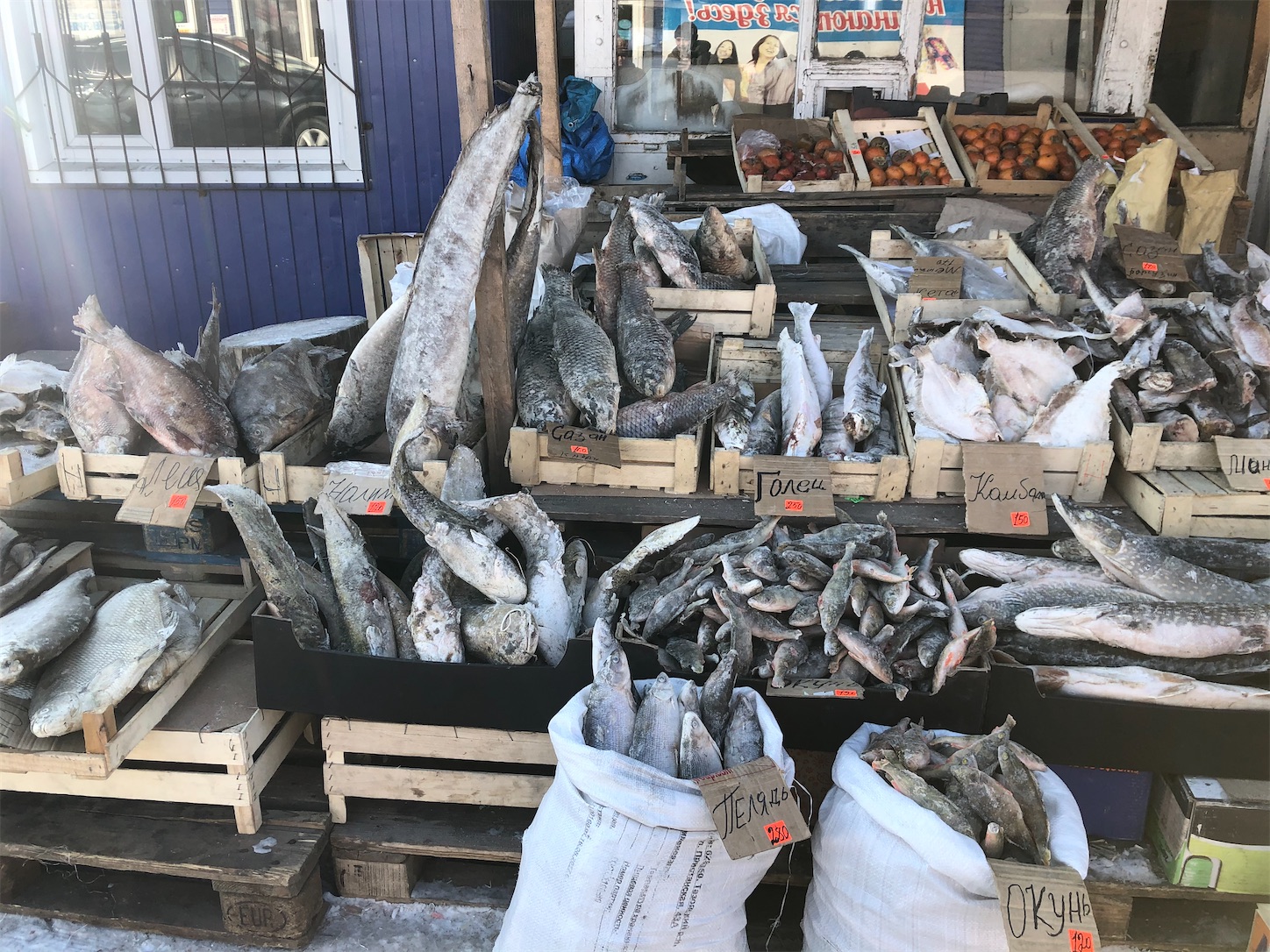 f:id:tomotomotrp:20200218152159j:image