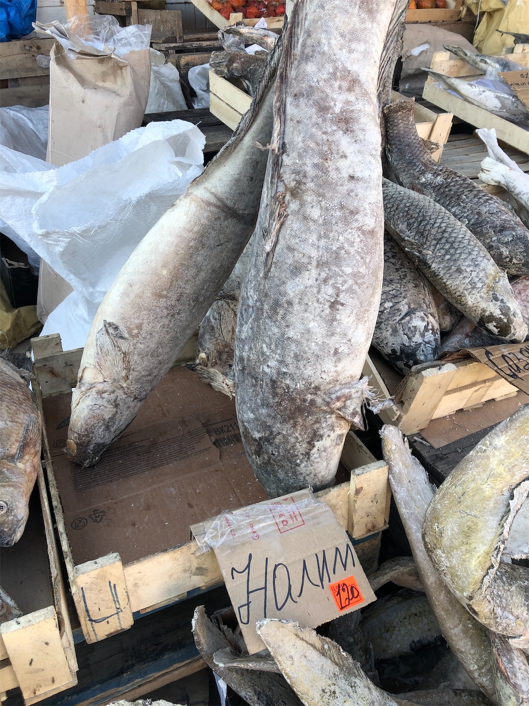 f:id:tomotomotrp:20200218152639j:plain