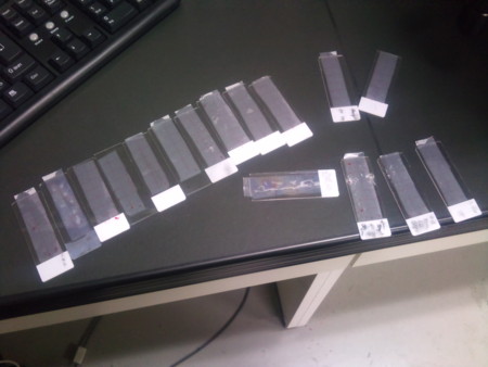 f:id:tomotsaan:20110305232730j:image