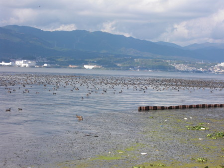 f:id:tomotsaan:20111112115929j:image