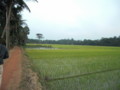 20120208211033