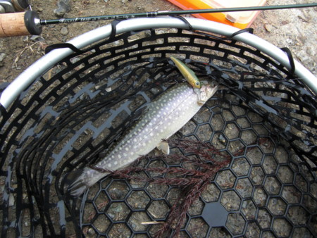 f:id:tomotsaan:20120308165026j:image