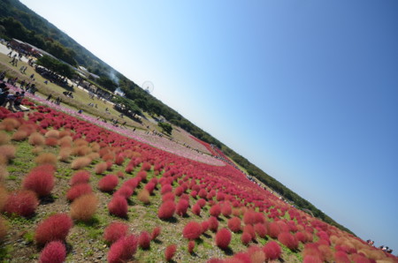 f:id:tomotsaan:20141019100345j:image