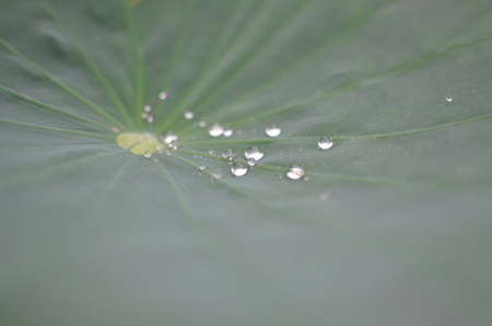 f:id:tomotsaan:20160625101113j:image