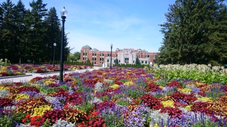 f:id:tomotsaan:20160824132255j:image f:id:tomotsaan:20160824132255j:image