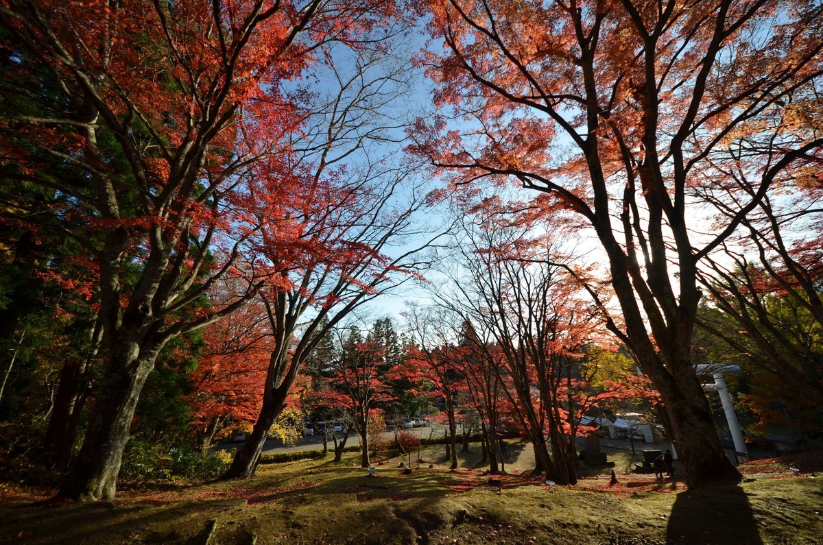 f:id:tomotsaan:20191117145927j:plain