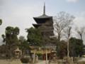 [旅][京都][寺]東寺の五重塔