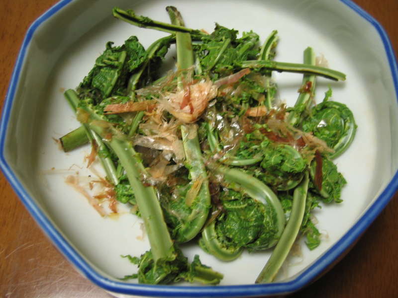 f:id:tomoya:20050508230700:image:w300