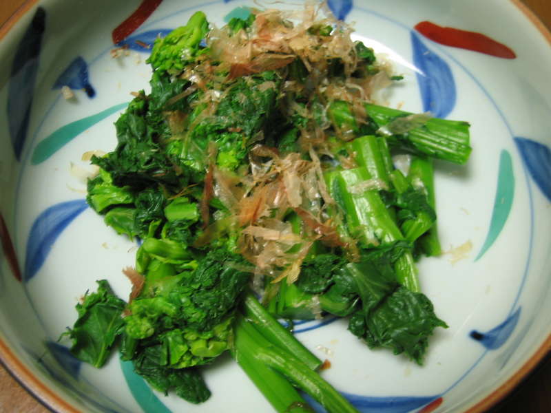 f:id:tomoya:20050508230717:image:w300