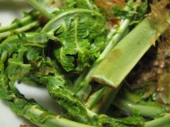 f:id:tomoya:20050508231047:image